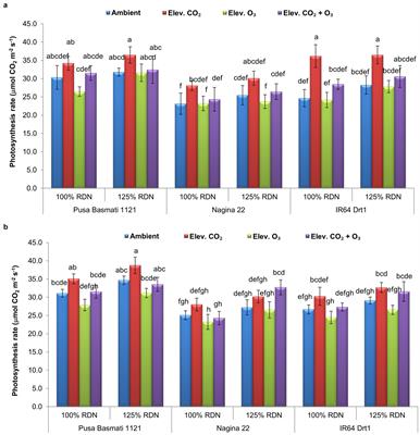 Application of additional dose of N could sustain rice yield and maintain plant nitrogen under elevated ozone (O3) and carbon dioxide (CO2) condition